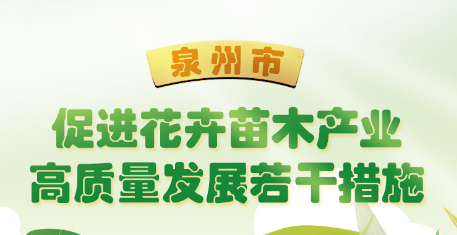 圖解：泉州市人民政府辦公室關于印發泉州市促進花卉苗木產業高質量發展若干措施的通知
